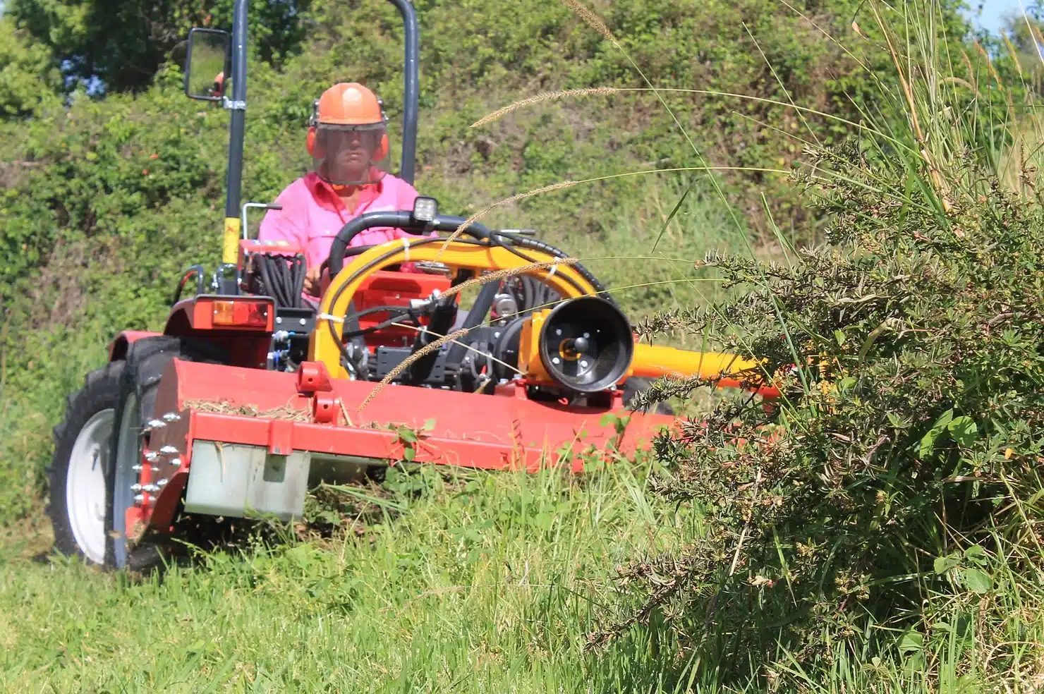 Chemical Free Lantana Removal Services on the Sunshine Coast and Surrounds