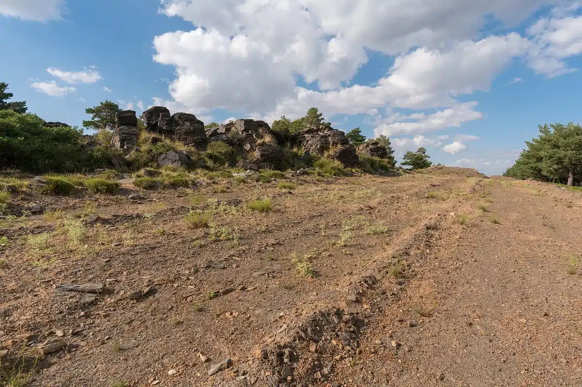 Rural Site Preparation for the Sunshine Coast and surrounds