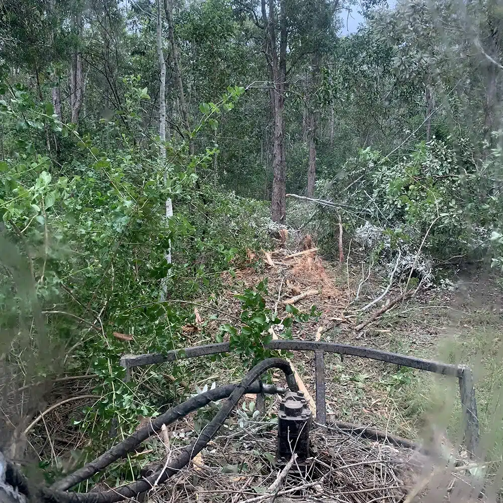 Land Clearing for Hinterland Acreage And Rural Properties on the Sunshine Coast and Surrounds