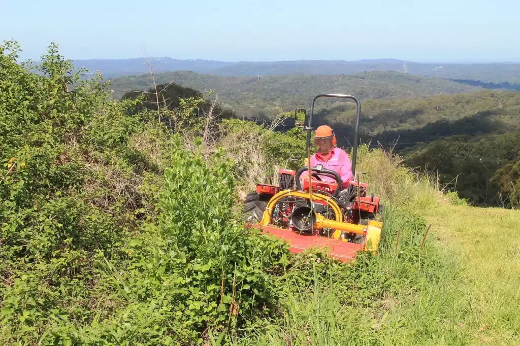 Chemical Free Lantana Removal Services on the Sunshine Coast