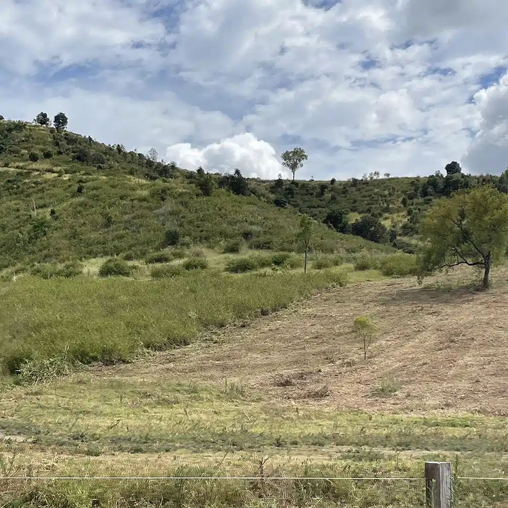 Rural Fencing for Hinterland Acreage and Rural Properties on the Sunshine Coast and surrounds