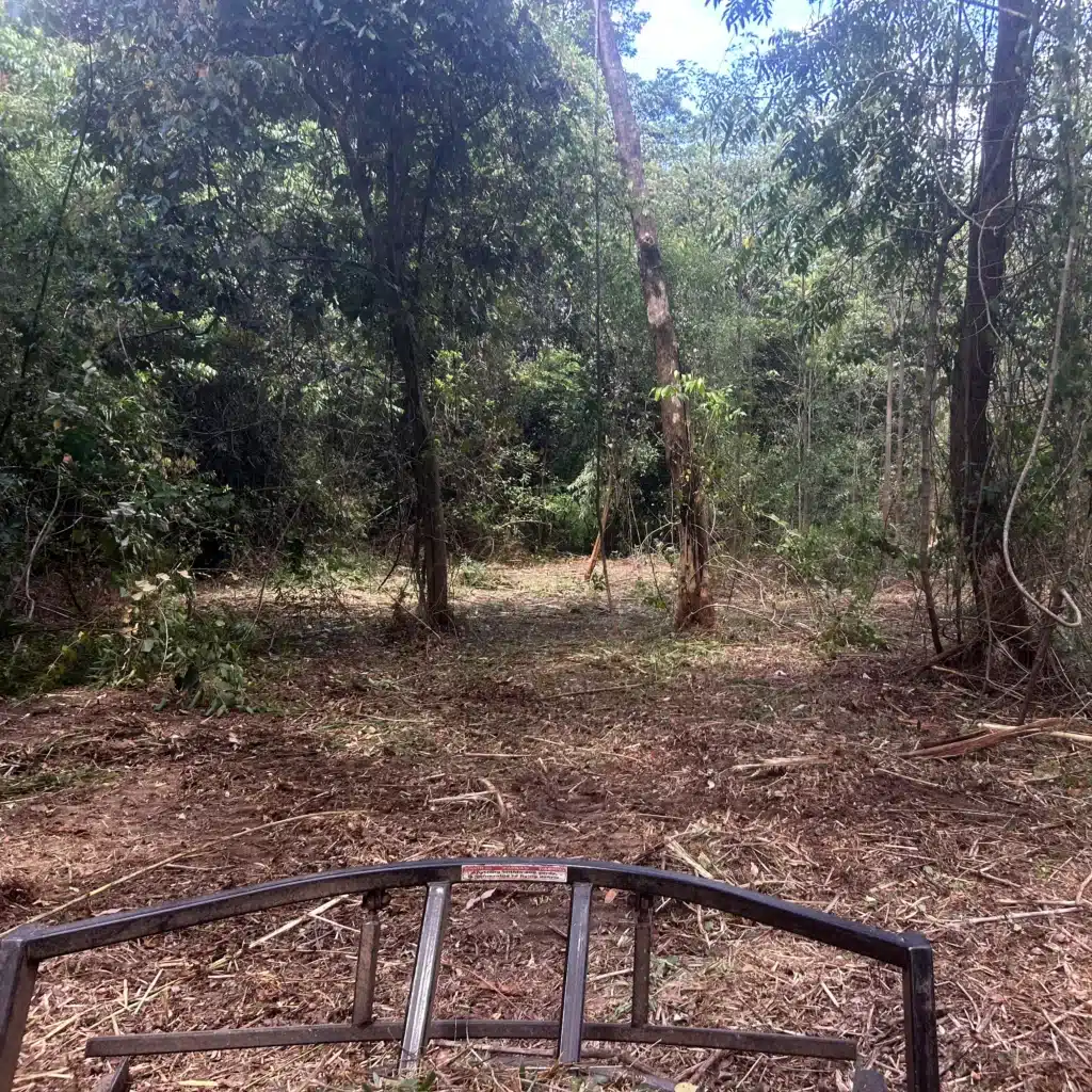 Acreage Slashing and Mowing for Hinterland Acreage And Rural Properties on the Sunshine Coast