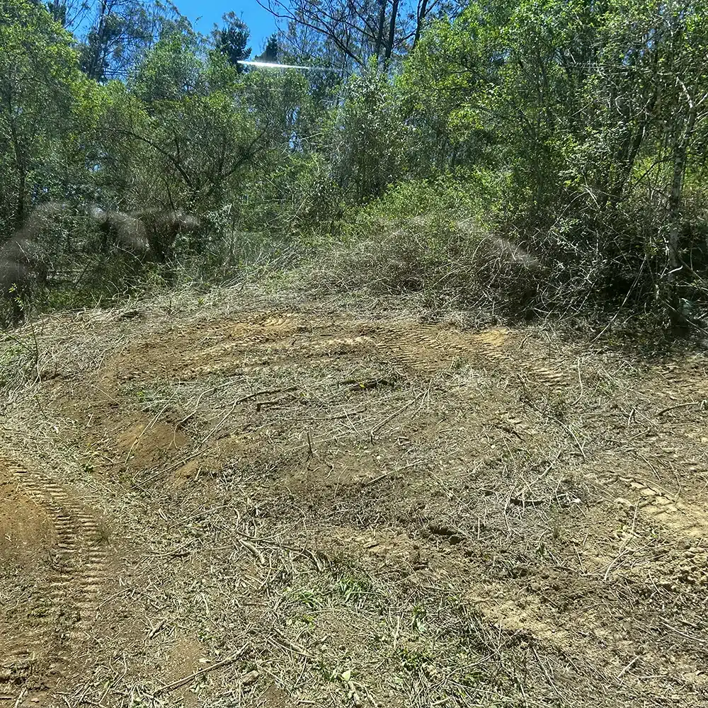 Acreage Slashing and Mowing for Hinterland Acreage And Rural Properties on the Sunshine Coast