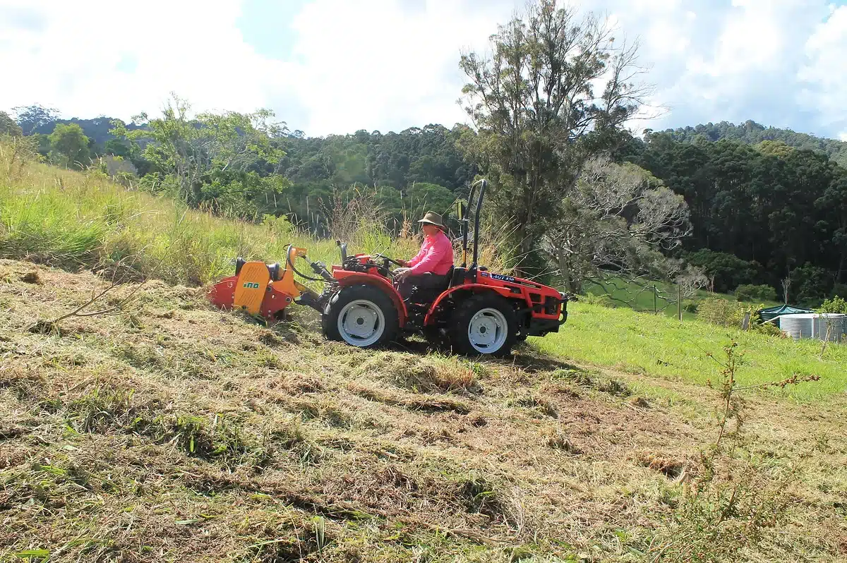 Lantana Removal on the Sunshine Coast for Acreage and Hinterland Properties