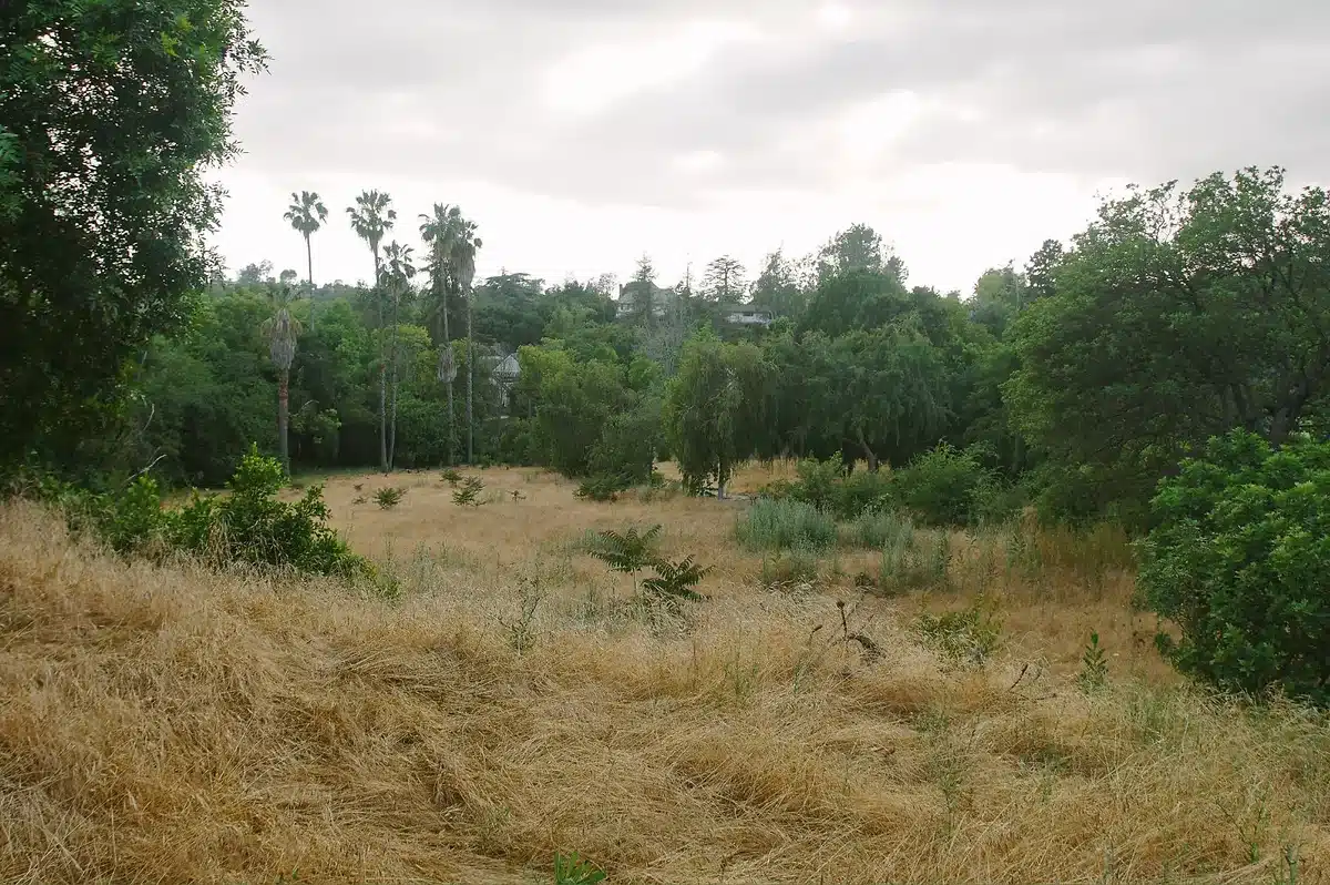 Vegetation Removal on a large Rural Property on the Sunshine Coast